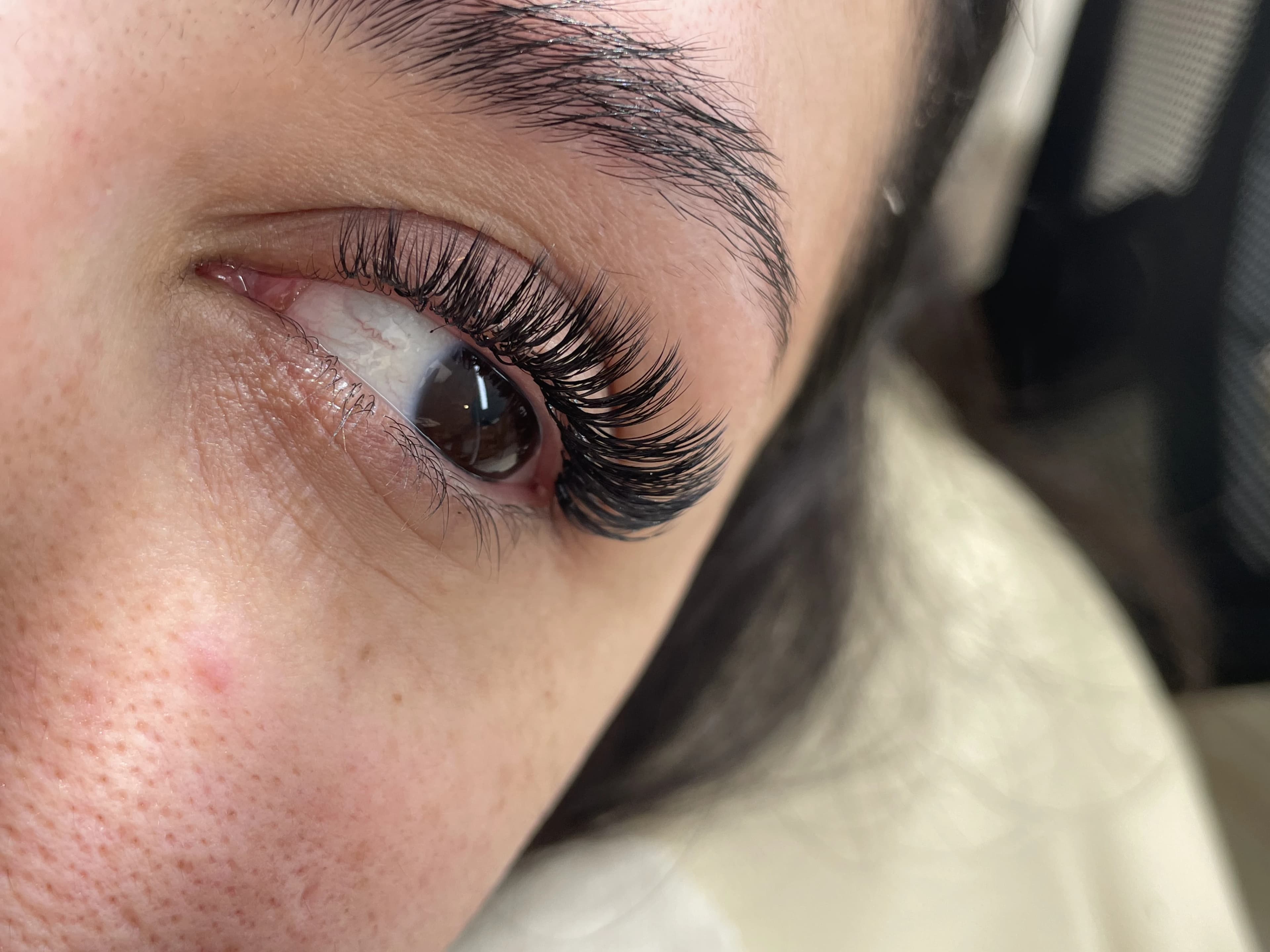 Light hybrid 2D lash set with dramatic upward curl and full dark brow on brown eyes at My Beauty Space.